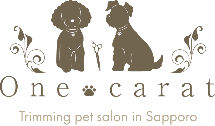 Trimming pet salon in Sapporo ワンカラット